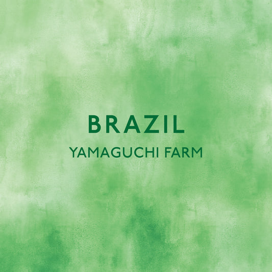 ブラジル 山口農園pk