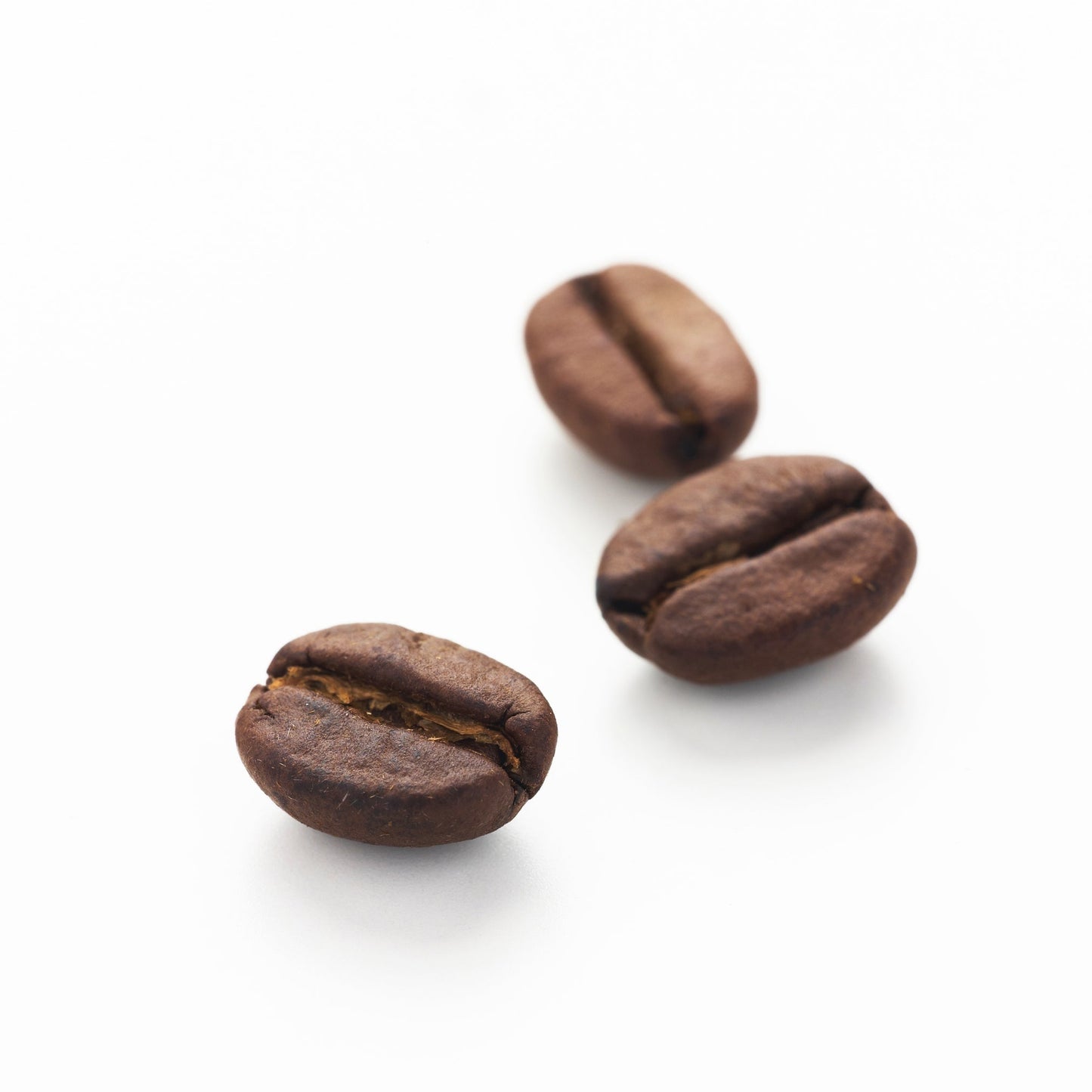 ブラジル 山口農園