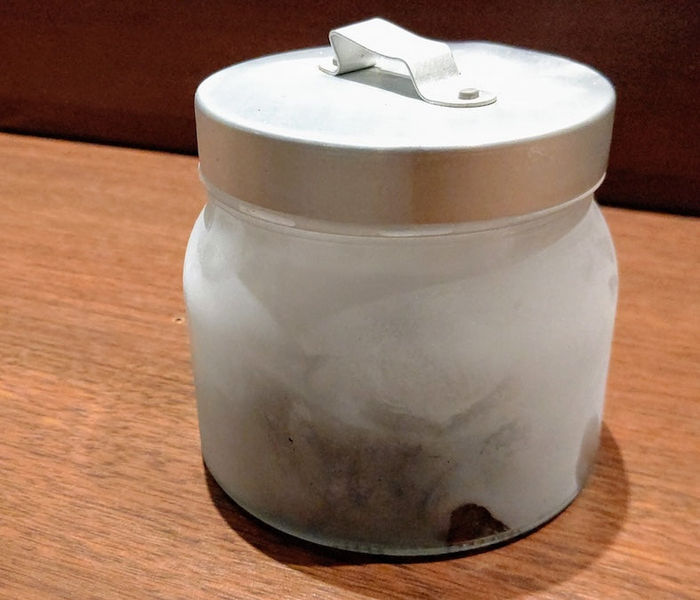 コーヒー豆の冷凍保存は正解？｜匂い移り・結露を防ぐ正しい方法と解凍の注意点