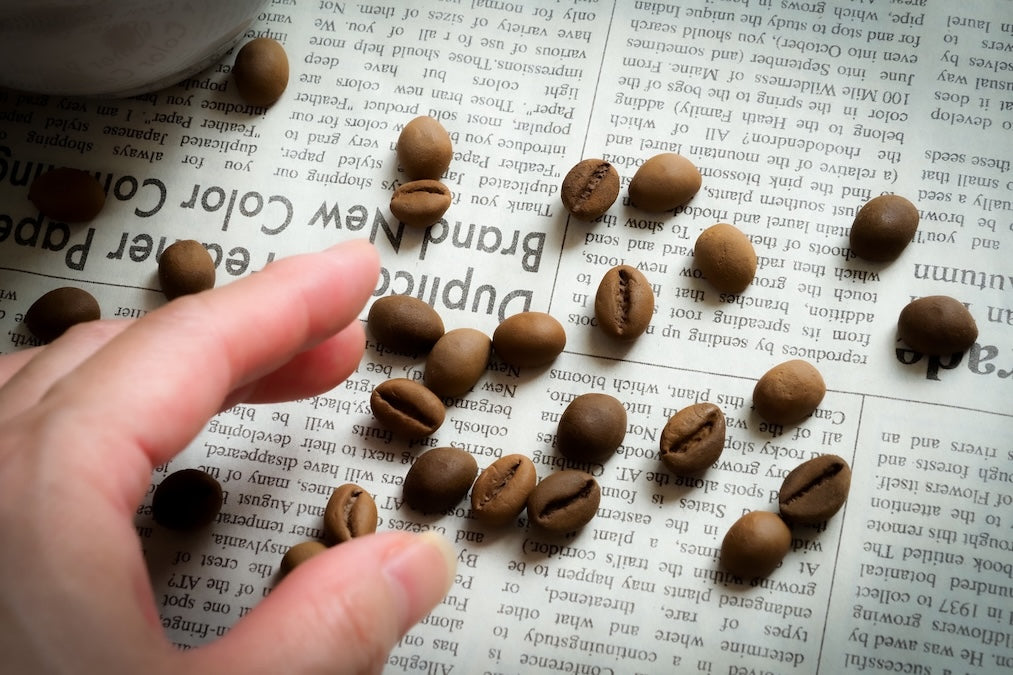 コーヒー豆の選び方｜“愛でる一杯”を見つけるための5つのポイント【NOVOLD COFFEE】