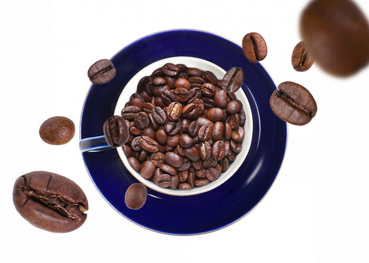 コーヒー豆の香り表現｜嗜好品として愉しむ“アロマの美学”と焙煎の芸術