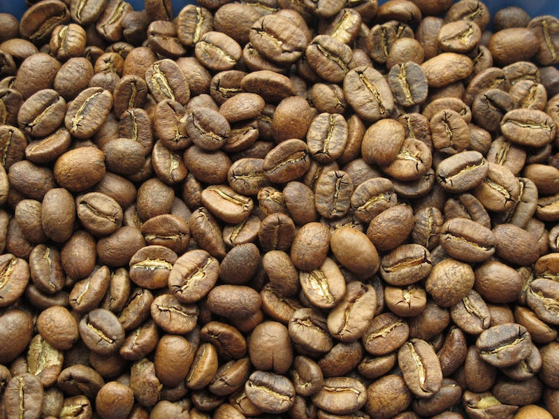 アラビカ種とは｜コーヒー豆の品種・特徴・ロブスタ種との違い完全ガイド