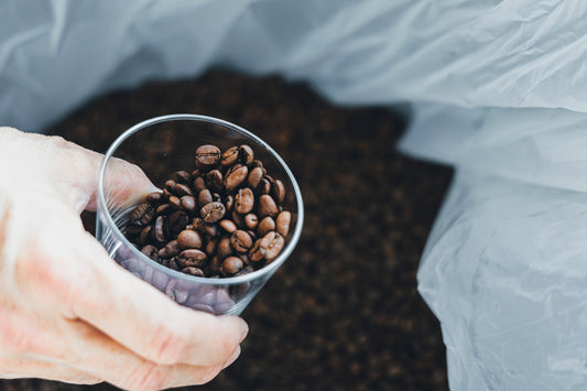 コーヒー豆の賞味期限はいつまで？未開封・開封後の目安と“鮮度を買う”ための保存・活用ガイド