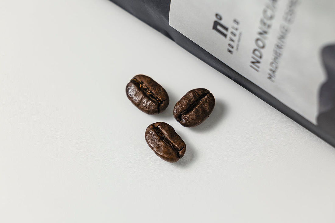 深煎りコーヒーおすすめ銘柄｜コクと甘みが際立つマンデリン・ブラジルの飲み方ガイド