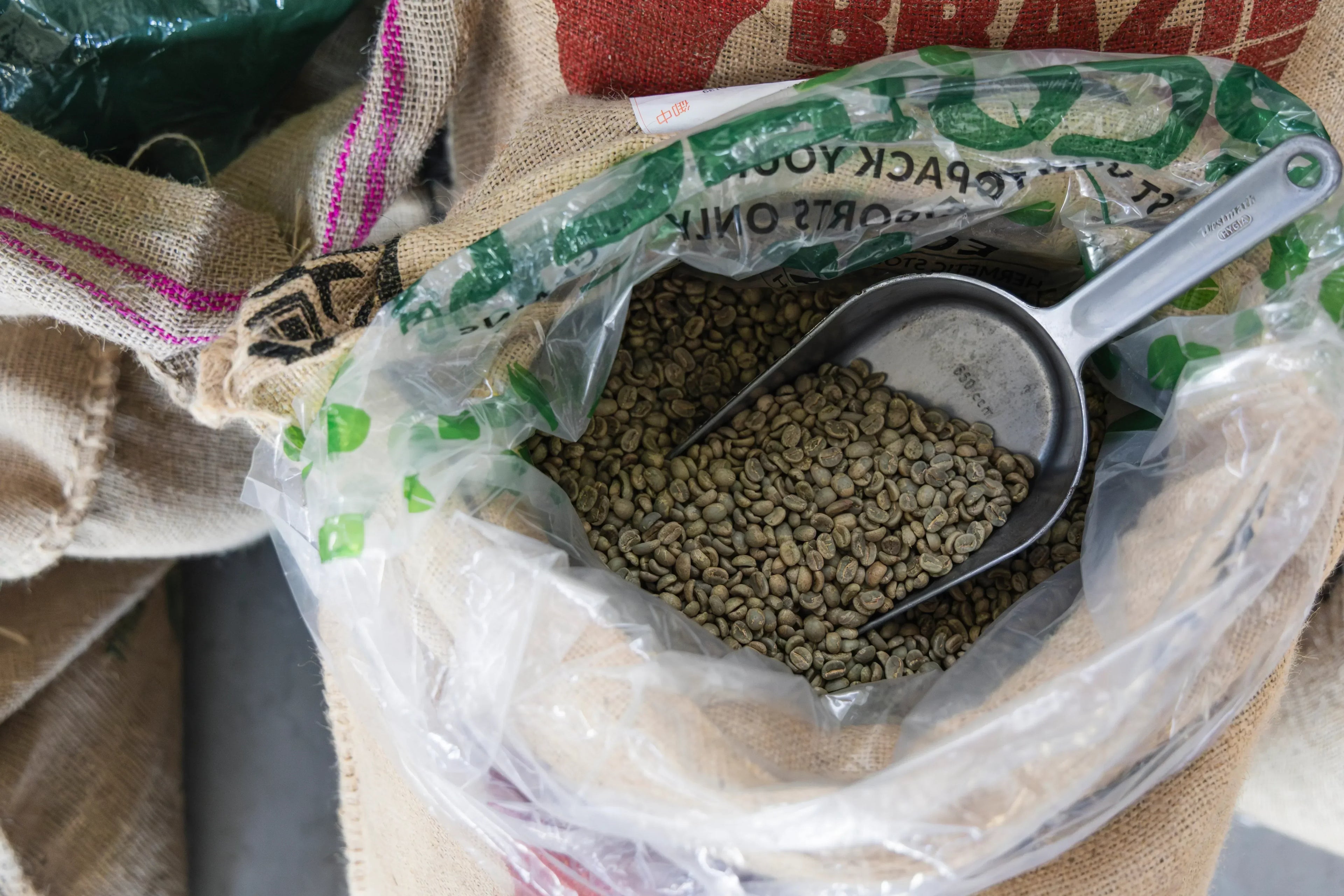 NOVOLD COFFEE ROASTERSの生豆をスコップですくう様子
