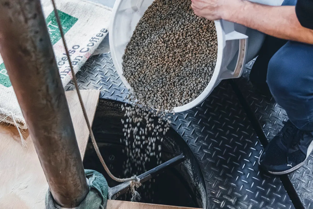 NOVOLD COFFEE ROASTERSの生豆をバケツからホッパーに投入