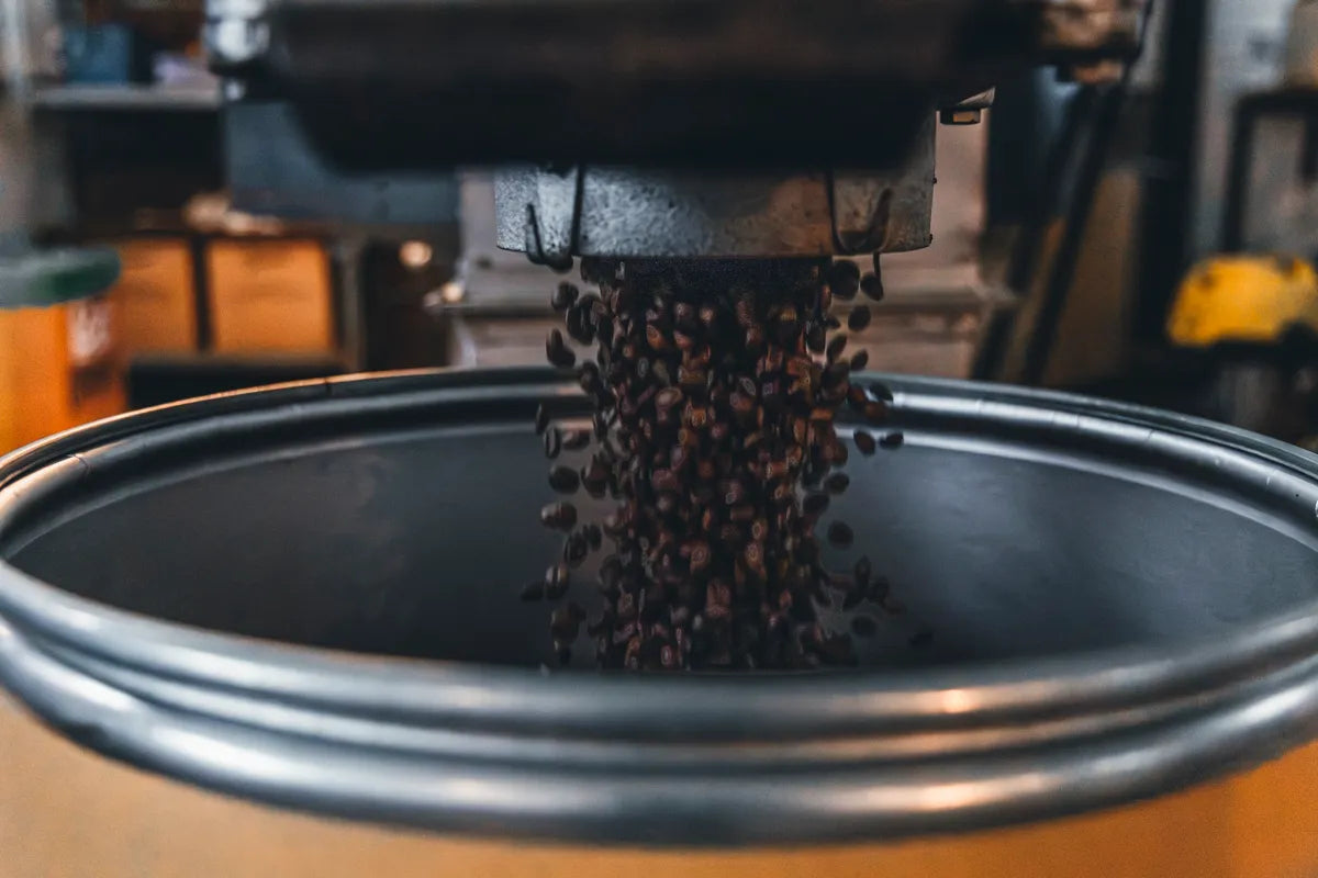 NOVOLD COFFEE ROASTERSの焙煎豆が缶に落下する躍動感ある瞬間