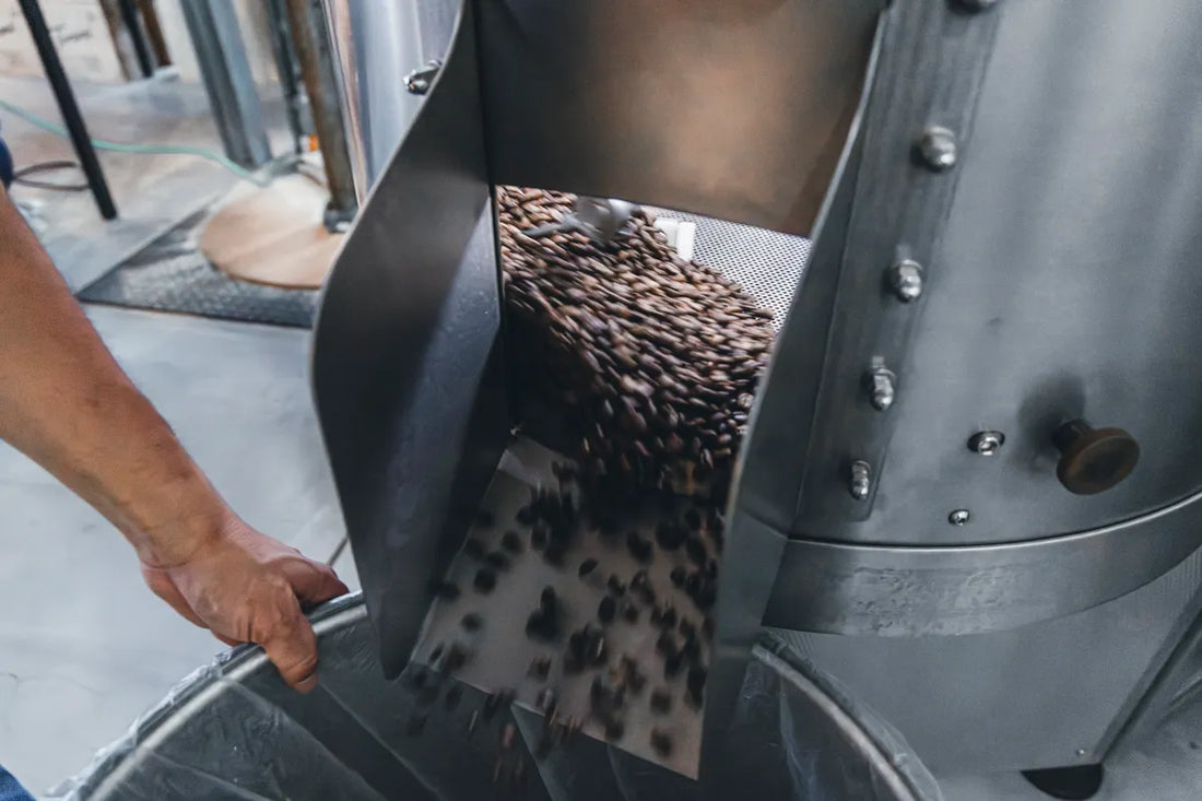 NOVOLD COFFEE ROASTERSのふるいから焙煎豆がステンレス缶に落ちる工程