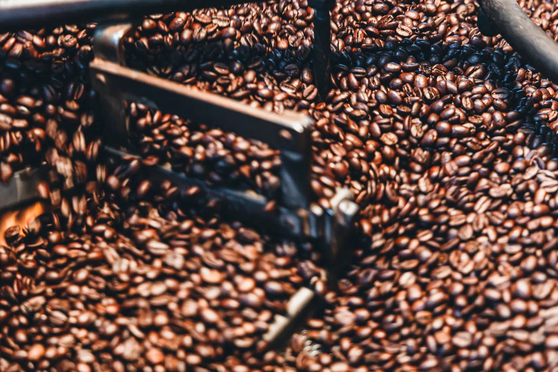 NOVOLD COFFEE ROASTERSの冷却中の焙煎豆マクロショット