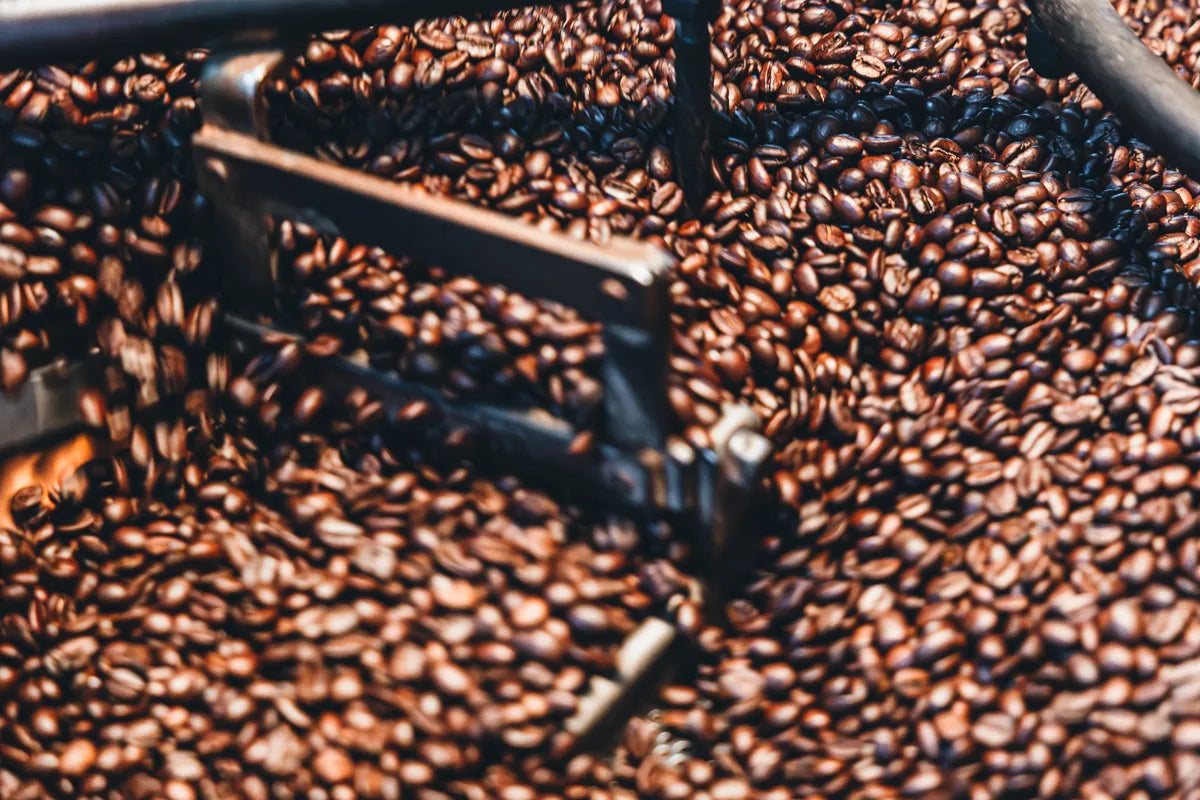 NOVOLD COFFEE ROASTERSの冷却中の焙煎豆マクロショット