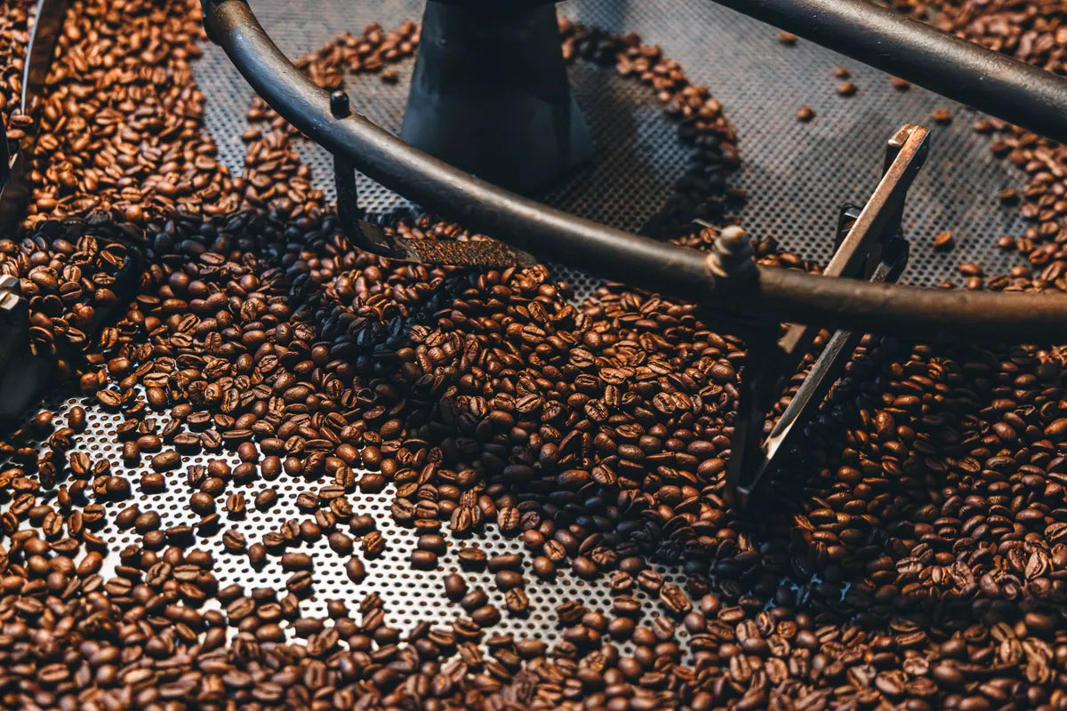 NOVOLD COFFEE ROASTERSの冷却中の焙煎豆マクロ撮影