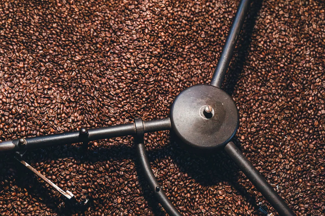 NOVOLD COFFEE ROASTERSの冷却トレイに敷き詰められた焙煎豆の真俯瞰