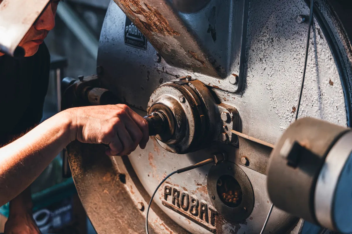 NOVOLD COFFEE ROASTERSのProbat焙煎機サンプルスプーンを操作する手元