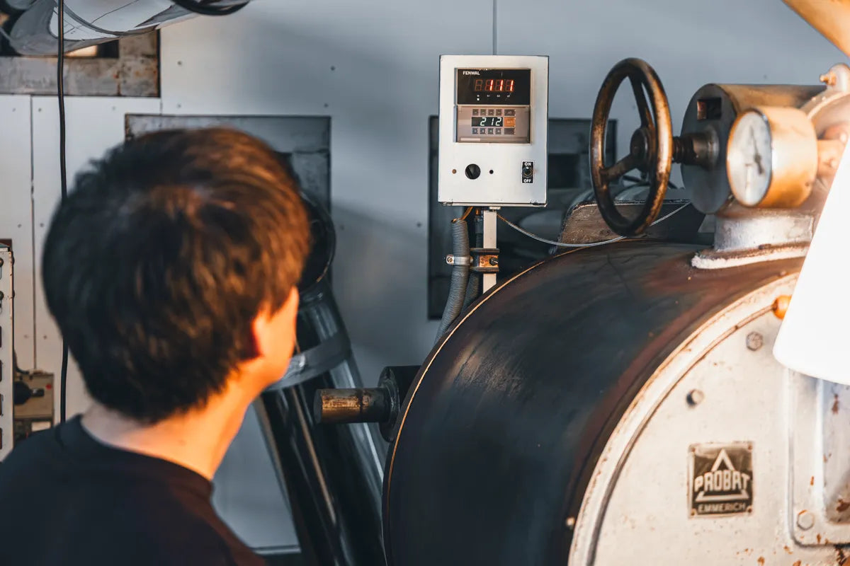 NOVOLD COFFEE ROASTERSの焙煎士がProbat焙煎機の温度パネルを監視