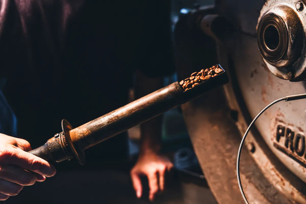 NOVOLD COFFEE ROASTERSのサンプルスプーンに載った焙煎豆と炎の光