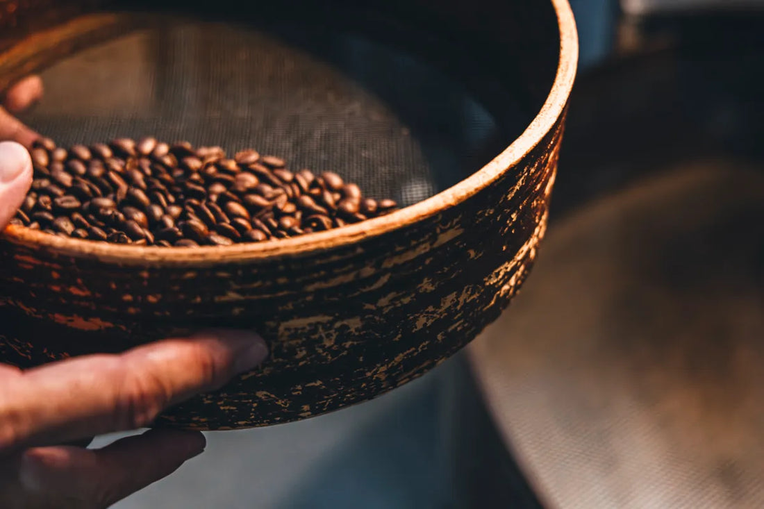 NOVOLD COFFEE ROASTERSのふるいに入った焙煎豆のマクロ撮影