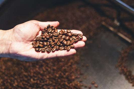 シングルオリジンコーヒー豆通販ガイド｜こだわりの一杯を自宅で楽しむ