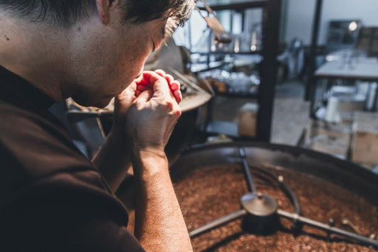 香りの良いコーヒー豆の選び方｜五感で味わう、極上の嗜み