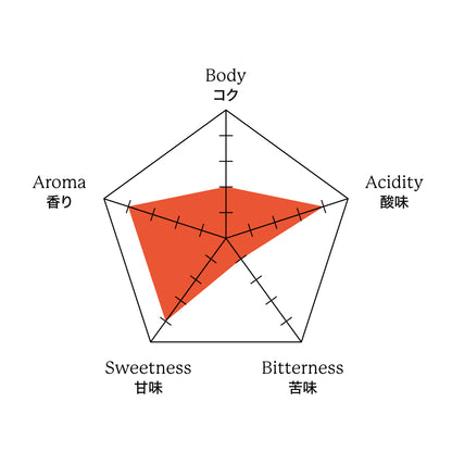 エチオピア アリーチャ ナチュラル