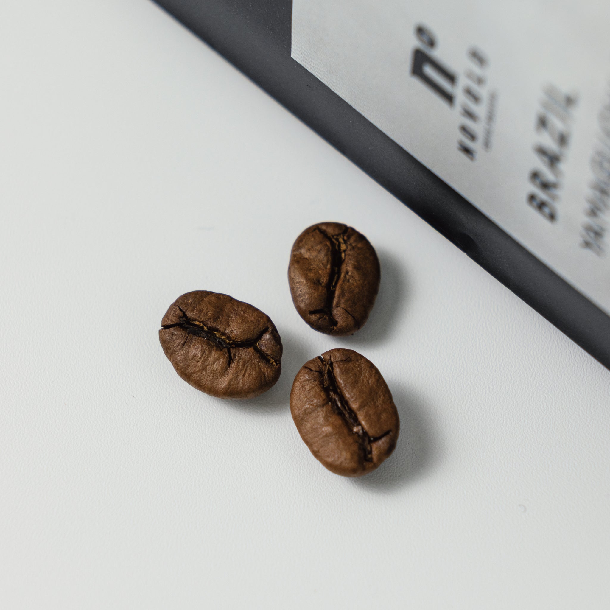 ブラジル 山口農園 コーヒー豆 200g｜ノボルドコーヒー – NOVOLD
