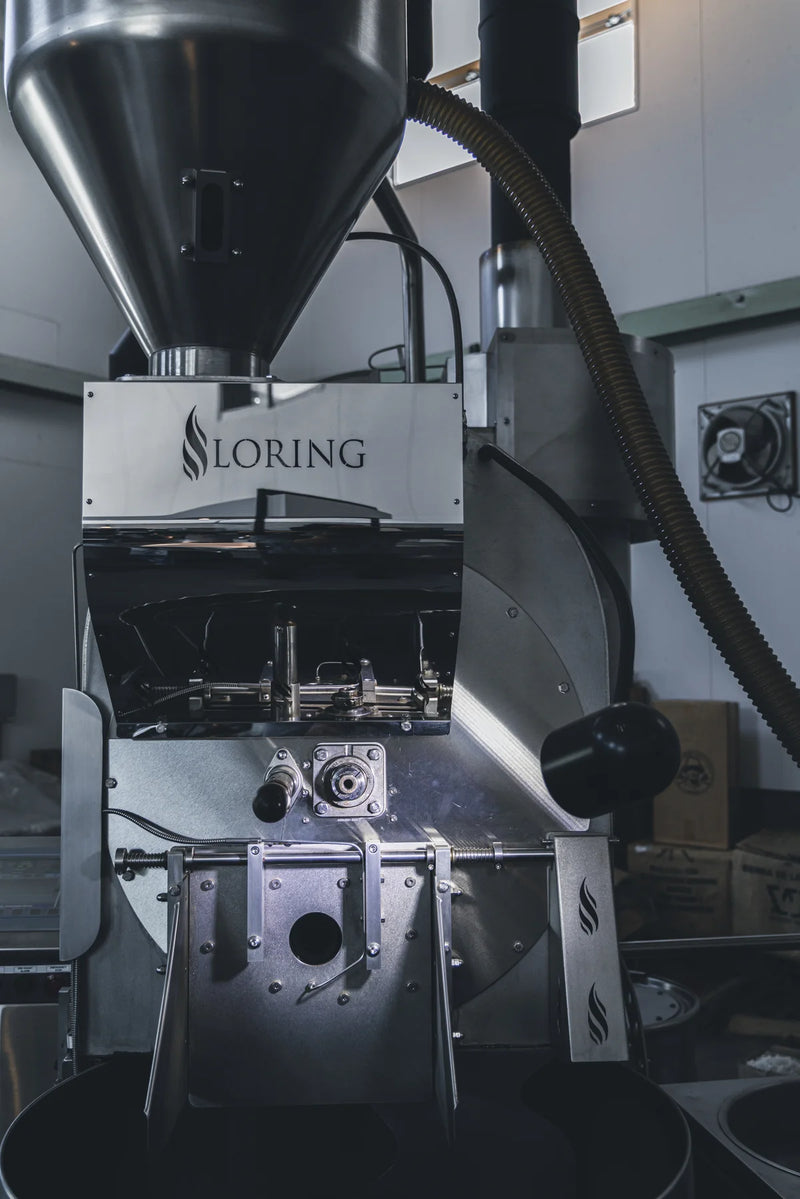 Loring S35 Kestrel（2017年製）