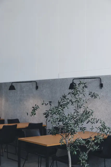 NOVOLD COFFEE ROASTERS 焙煎所の内観